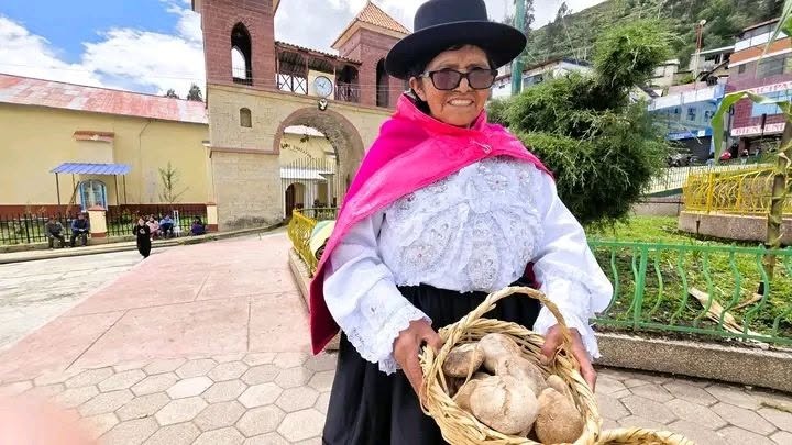 Pan Chacayano